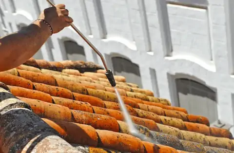 Nettoyage de toitures - Châtel-Saint-Germain